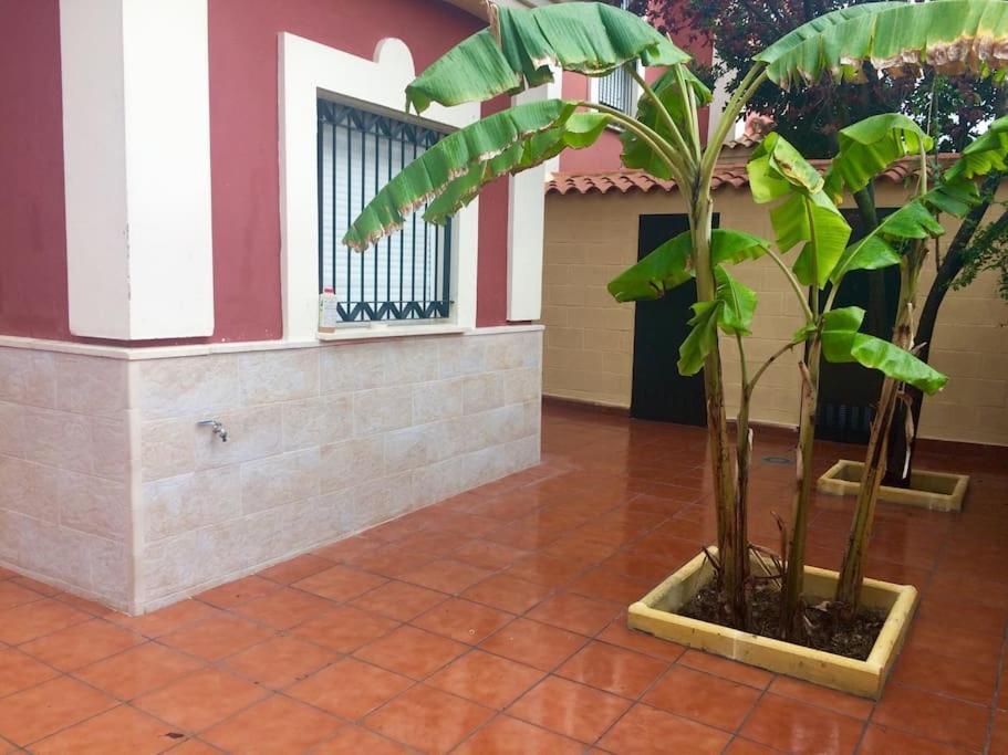 Casa Bignonia Villa Salteras Exterior foto